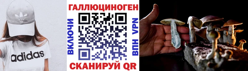 Псилоцибиновые грибы MAGIC MUSHROOMS  где купить   Всеволожск 